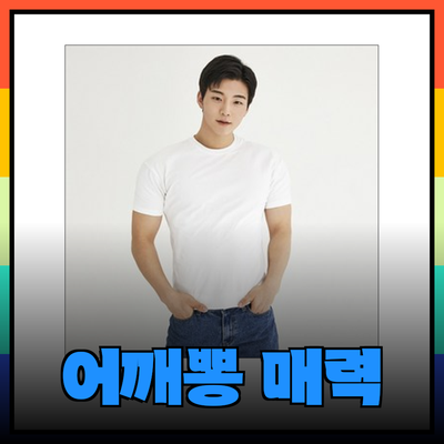 어깨뽕의 매력: 다양한 제품을 통해 완벽한 라인 만들기