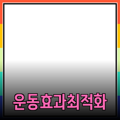 운동 효과를 극대화하는 최적의 제품 추천